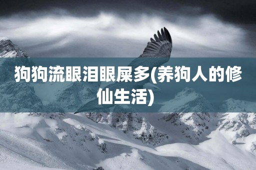 狗狗流眼淚眼屎多(養狗人的修仙生活) 