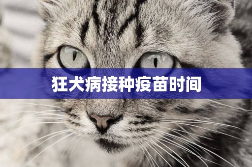 狂犬病接種疫苗時間