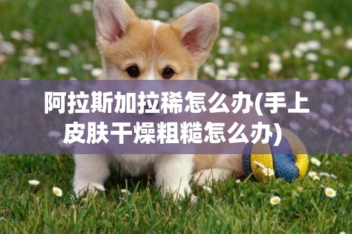 阿拉斯加拉稀怎么辦(手上皮膚干燥粗糙怎么辦) 