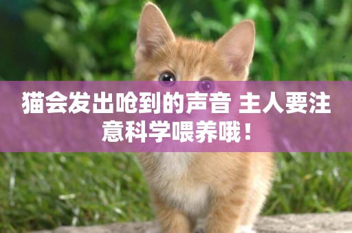 貓會發出嗆到的聲音 主人要注意科學喂養哦！