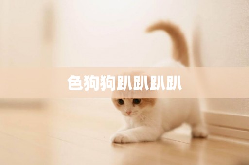 色狗狗趴趴趴趴