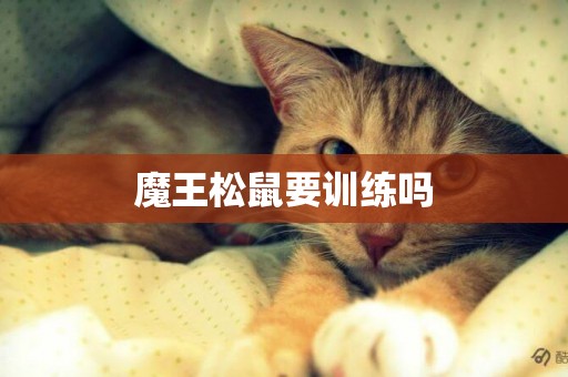魔王松鼠要訓練嗎