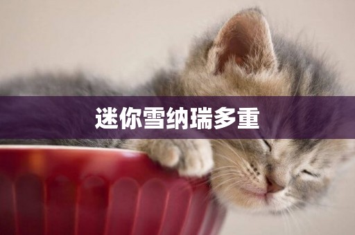 迷你雪納瑞多重