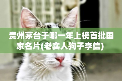 貴州茅臺于哪一年上榜首批國家名片(老實人狗子李信) 
