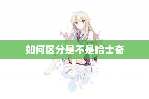 如何區分是不是哈士奇