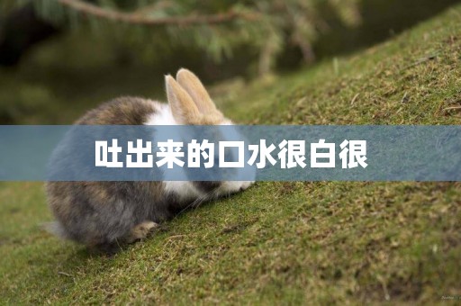 吐出來的口水很白很