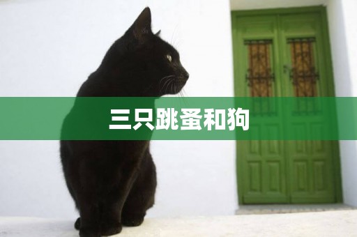 三只跳蚤和狗