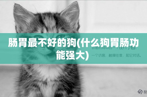 腸胃最不好的狗(什么狗胃腸功能強大) 