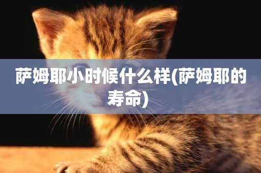 薩姆耶小時候什么樣(薩姆耶的壽命) 