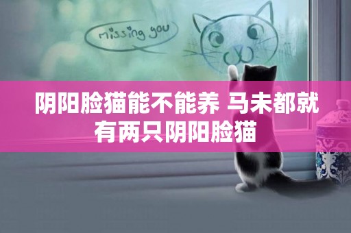 陰陽臉貓能不能養 馬未都就有兩只陰陽臉貓