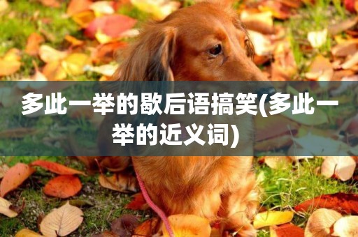 多此一舉的歇后語搞笑(多此一舉的近義詞) 