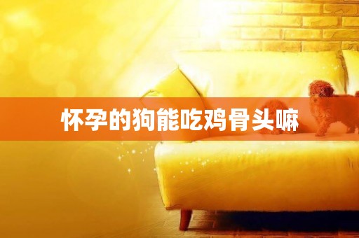 懷孕的狗能吃雞骨頭嘛