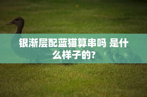 銀漸層配藍貓算串嗎 是什么樣子的?