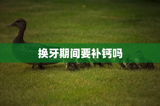 換牙期間要補鈣嗎