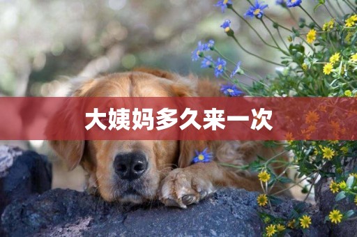大姨媽多久來一次