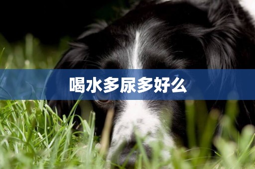喝水多尿多好么