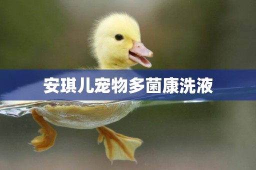安琪兒寵物多菌康洗液
