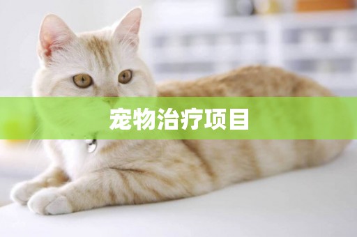 寵物治療項目