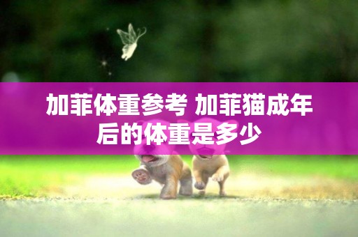 加菲體重參考 加菲貓成年后的體重是多少