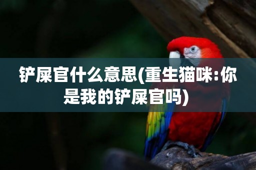 鏟屎官什么意思(重生貓咪:你是我的鏟屎官嗎) 