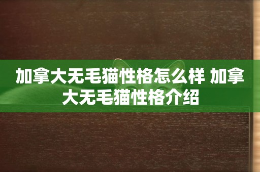 加拿大無毛貓性格怎么樣 加拿大無毛貓性格介紹