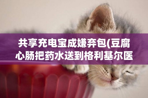 共享充電寶成嫌棄包(豆腐心腸把藥水送到格利基爾醫務室) 