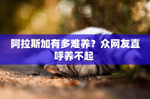 阿拉斯加有多難養？眾網友直呼養不起 