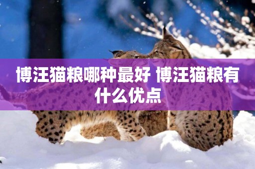 博汪貓糧哪種最好 博汪貓糧有什么優點