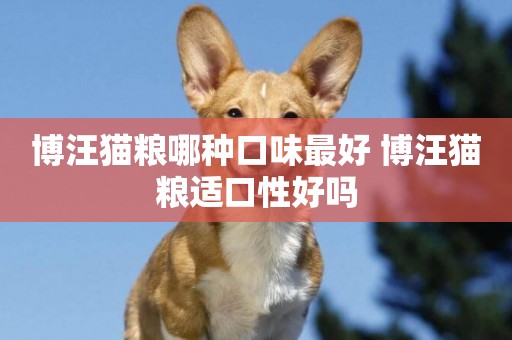 博汪貓糧哪種口味最好 博汪貓糧適口性好嗎
