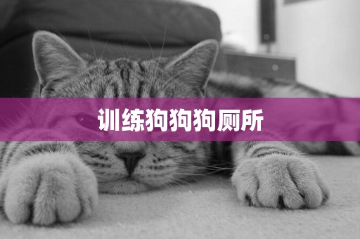 訓練狗狗狗廁所
