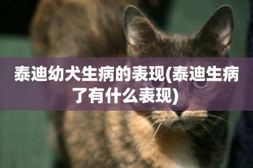 泰迪幼犬生病的表現(泰迪生病了有什么表現) 