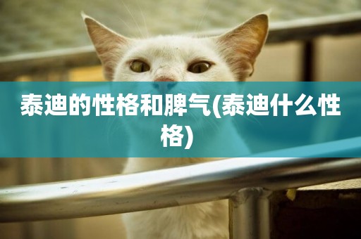 泰迪的性格和脾氣(泰迪什么性格) 