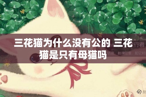 三花貓為什么沒有公的 三花貓是只有母貓嗎