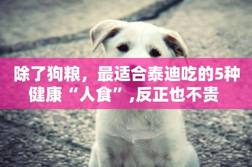 除了狗糧，最適合泰迪吃的5種健康“人食”,反正也不貴 