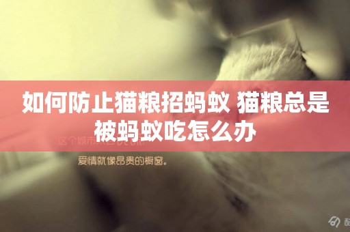 如何防止貓糧招螞蟻 貓糧總是被螞蟻吃怎么辦