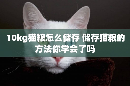 10kg貓糧怎么儲存 儲存貓糧的方法你學會了嗎