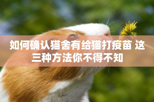 如何確認貓舍有給貓打疫苗 這三種方法你不得不知