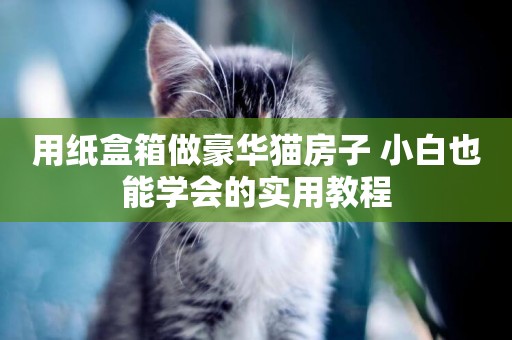 用紙盒箱做豪華貓房子 小白也能學會的實用教程
