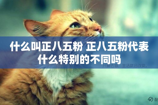 什么叫正八五粉 正八五粉代表什么特別的不同嗎