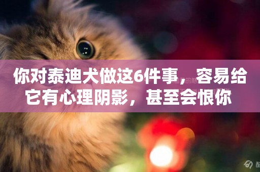 你對泰迪犬做這6件事，容易給它有心理陰影，甚至會恨你 