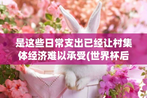 是這些日常支出已經讓村集體經濟難以承受(世界杯后這些球星身價大跳水) 