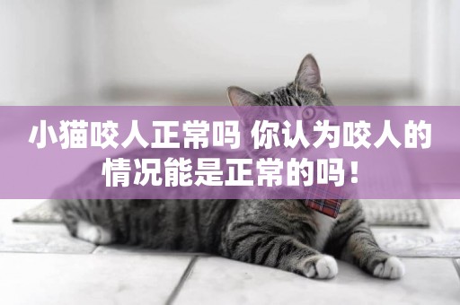 小貓咬人正常嗎 你認為咬人的情況能是正常的嗎！