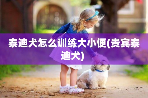 泰迪犬怎么訓練大小便(貴賓泰迪犬) 