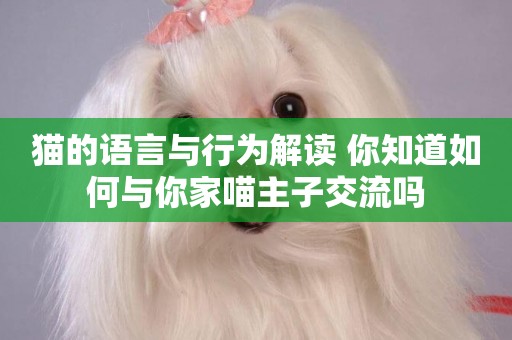 貓的語言與行為解讀 你知道如何與你家喵主子交流嗎