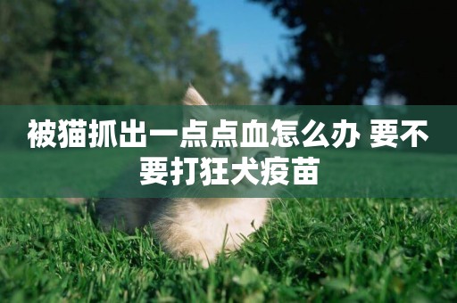 被貓抓出一點點血怎么辦 要不要打狂犬疫苗