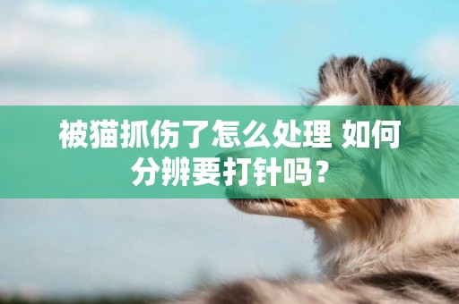 被貓抓傷了怎么處理 如何分辨要打針嗎？