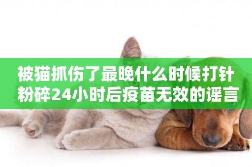 被貓抓傷了最晚什么時候打針 粉碎24小時后疫苗無效的謠言