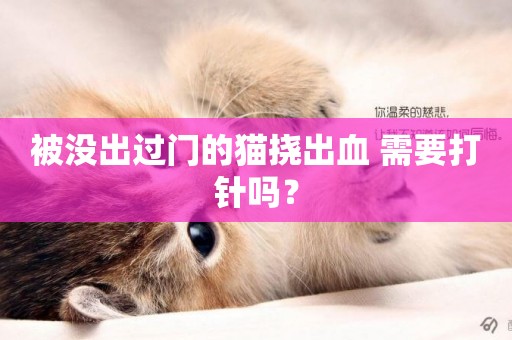 被沒出過門的貓撓出血 需要打針嗎？