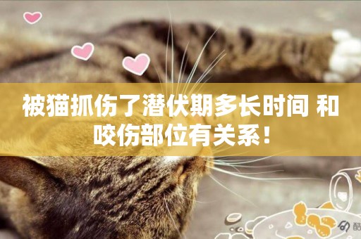 被貓抓傷了潛伏期多長時間 和咬傷部位有關系！