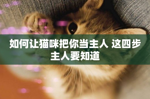 如何讓貓咪把你當主人 這四步主人要知道